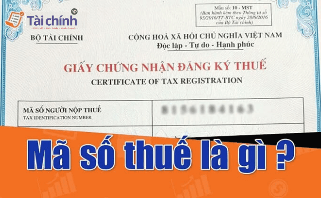 Hướng Dẫn Tra Cứu Mã Số Thuế Hộ Kinh Doanh Mới Nhất