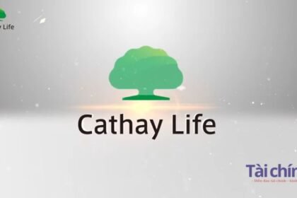 Công ty bảo hiểm Cathay life