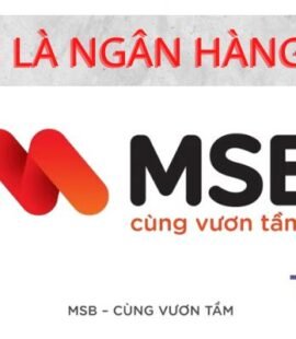 MSB LÀ NGÂN HÀNG GÌ