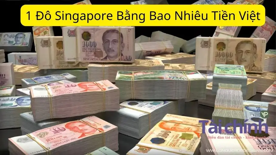 1 Đô Singapore Bằng Bao Nhiêu Tiền Việt Cập Nhật 2023