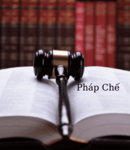 phap-che-la-gi