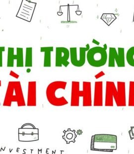 so luoc ve chu de tai chinh