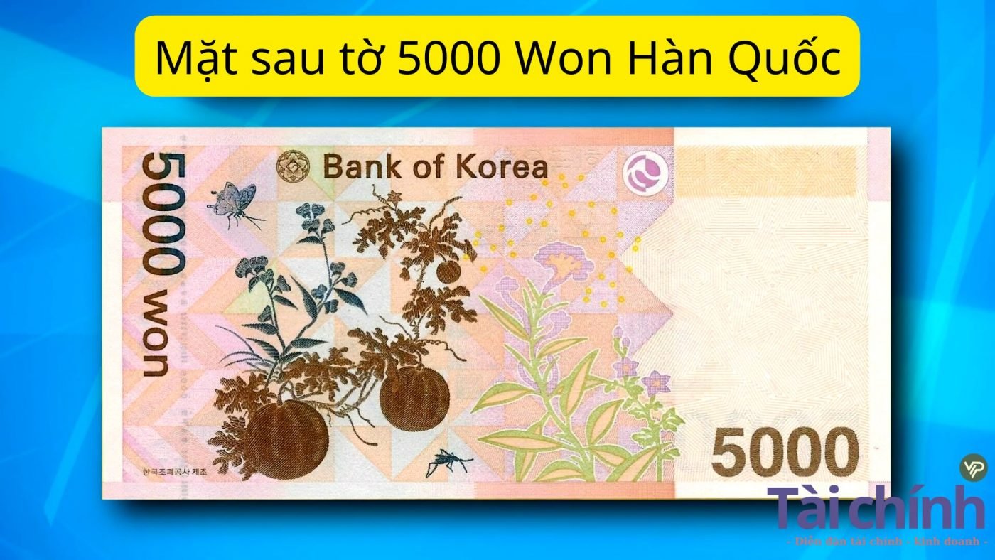 Mặt sau tờ 5000 Won Hàn Quốc