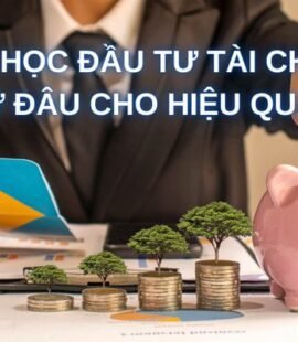nen-hoc-dau-tu-tai-chinh-tu-dau-cho-hieu-qua