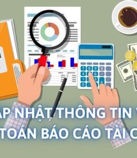 cap-nhat-thong-tin-ve-kiem-toan-bao-cao-tai-chinh