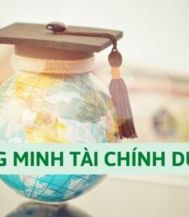 chung-minh-tai-chinh-du-hoc