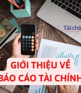 gioi-thieu-ve-bao-cao-tai-chinh