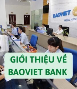 gioi-thieu-ve-baoviet-bank