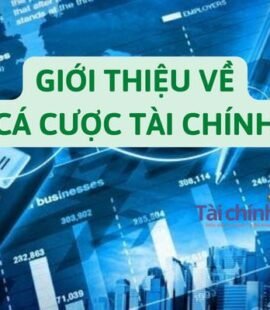 gioi-thieu-ve-ca-cuoc-tai-chinh