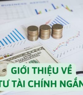 gioi-thieu-ve-dau-tu-tai-chinh-ngan-han