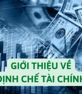 gioi-thieu-ve-dinh-che-tai-chinh