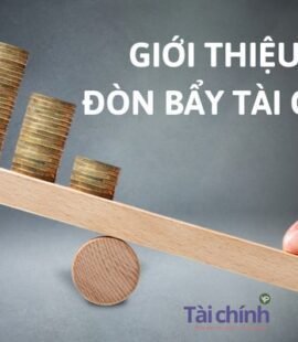 gioi-thieu-ve-don-bay-tai-chinh