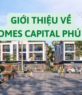 gioi-thieu-ve-meyhomes-capital-phu-quoc