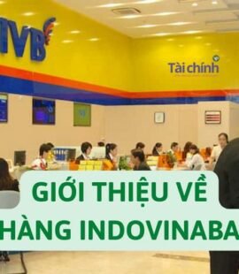 gioi-thieu-ve-ngan-hang-indovinabank-ivb