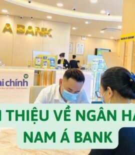 gioi-thieu-ve-ngan-hang-nam-a-bank