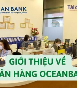 gioi-thieu-ve-ngan-hang-oceanbank