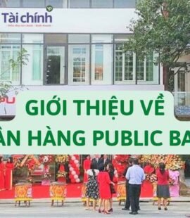gioi-thieu-ve-ngan-hang-public-bank