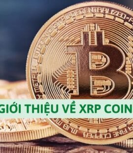 gioi-thieu-ve-xrp-coin