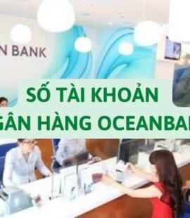 so-tai-khoan-ngan-hang-oceanbank