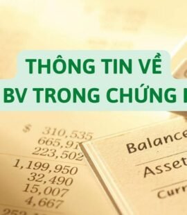 thong-tin-ve-chi-so-bv-trong-chung-khoan