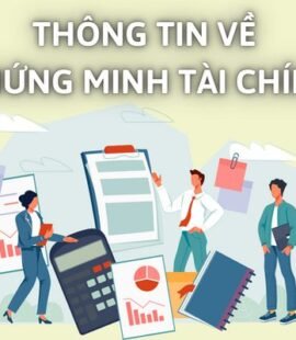 thong-tin-ve-chung-minh-tai-chinh