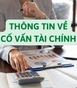 thong-tin-ve-co-van-tai-chinh