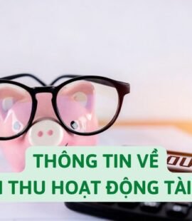 thong-tin-ve-doanh-thu-hoat-dong-tai-chinh