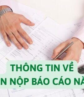 thong-tin-ve-han-nop-bao-cao-tai-chinh-nam