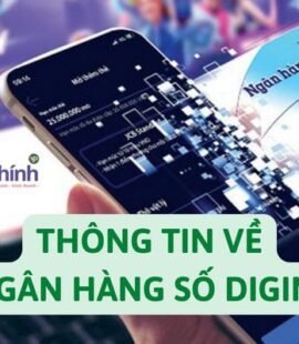 thong-tin-ve-ngan-hang-so-digimi