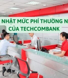 cap-nhat-muc-phi-thuong-nien-cua-techcombank