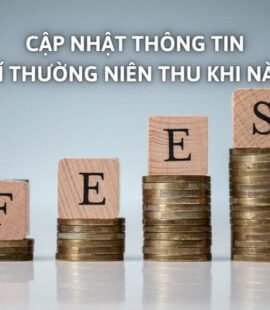 cap-nhat-thong-tin-phi-thuong-nien-thu-khi-nao