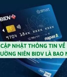 cap-nhat-thong-tin-ve-phi-thuong-nien-bidv-la-bao-nhieu