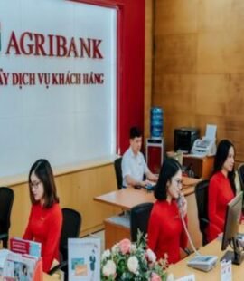 Vay vốn ngân hàng Agribank 100 triệu