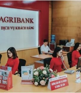 dieu kien thu tuc chuyen tien usd vao tai khoan vnd agribank