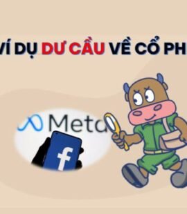 du cau ve co phieu la gi loi ich rui ro cua du cau co phieu