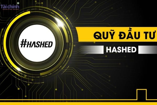 quy hashed la gi danh muc dau tu cua hashed gom nhung gi