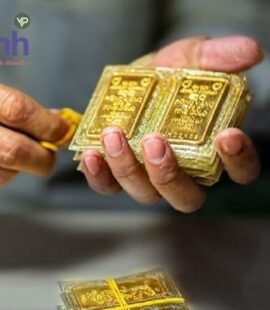 gia vang kim thanh ninh binh