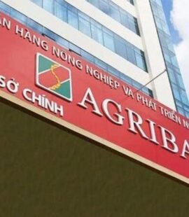 vay du hoc agribank