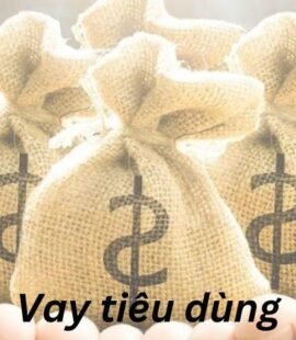 vay tieu dung la gi