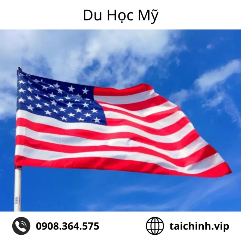 Chứng minh tài chính du học Mỹ - Hướng dẫn chi tiết giúp bạn đậu visa 99%