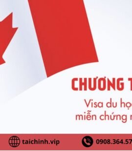 Du học Canada diện SDS - Thủ tục, điều kiện & lợi ích