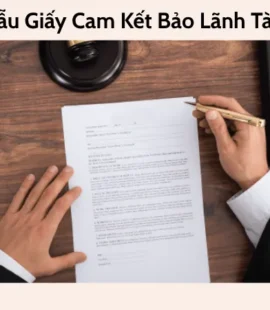 Mẫu giấy cam kết bảo lãnh tài chính